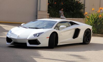 A white lamborghini moving in a driveway.